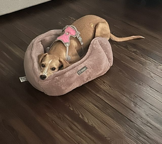 Photo of June